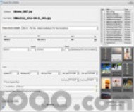 ImageCool Free Image Renaming screenshot